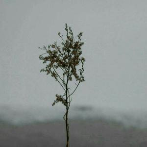 97大神超碰在线
