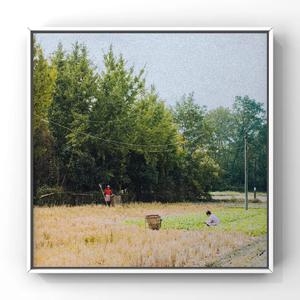 97大神超碰在线
