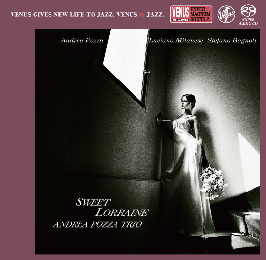 97大神超碰在线
